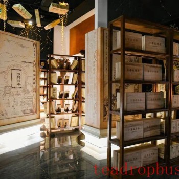 Fu Tea: The Journey of a Single Leaf