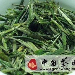 Basic Characteristics and Development History of Zisun Tea