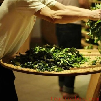 Huang Xiangeng &amp;#8211; The Traditional Handmade Skills of Rock Tea