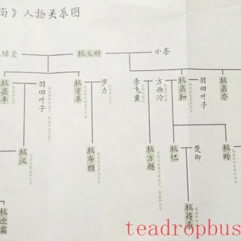 Interpretation of &quot;Looking South of the River&quot; (Part II): How to Drink the Camellia Flowers at Hugong Temple on Shifeng Mountain?