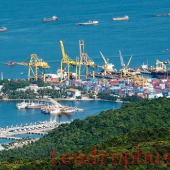 Port Delays Cost Brazilian Coffee Producers Millions