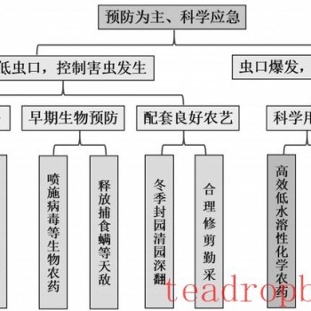 Green Precision Prevention and Control Technology Assembly and Application Effects for Tea Pest Management