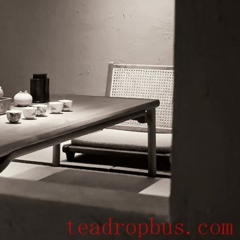 Home-Aged Pu-er: Between Permeability and Impenetrability