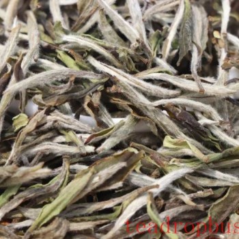 The Grace of White Tea: The Unique Charm of Bai Mudan and Silver Needle