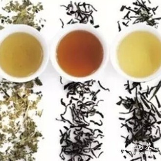 【Tea Knowledge: Tea Classification】6 Types of Commercial Tea