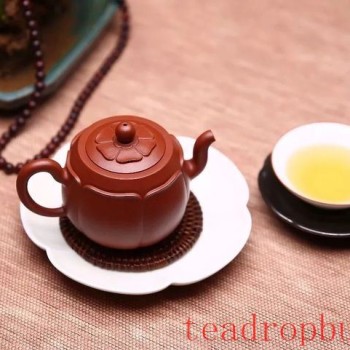 Do you know how to properly use a Zhu Ni teapot?