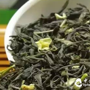 Origin of Jasmine Tea