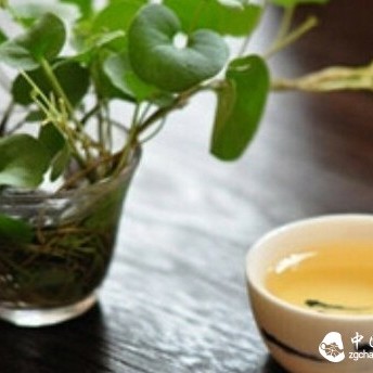 【Tea Knowledge】The Biggest Lie in the Tea World: 'No Bitterness, No Astringency Is Not Tea'