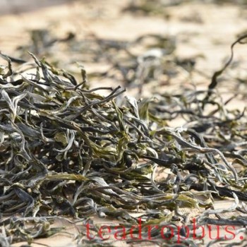 How to Properly Brew Tea? Steps for Brewing Tea