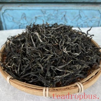 Lao Xu on Tea: The Tea from Python Spring Is Delicious, But the Journey Is Tough – How Good Is Its Natural Environment?