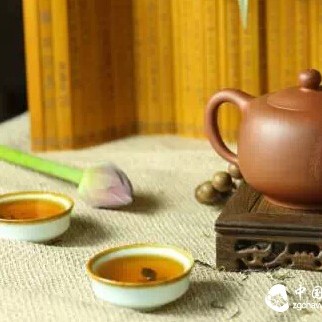 Reasons You'll Regret Not Drinking Pu-erh Tea!