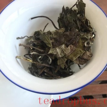 Should You Rinse White Tea?