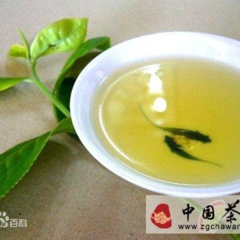 The Taste of Health Tea