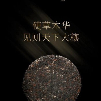 How is aged white tea faked?