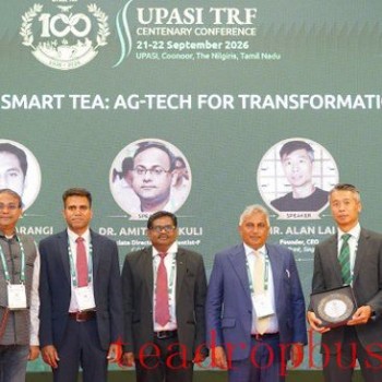 AI Grading Supports Master Tea Tasters