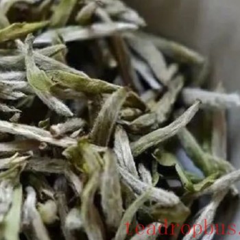 What Temperature Water is Best for Brewing White Tea?