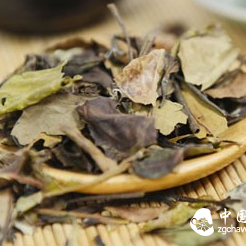 My Tea-Flavored Life – Savoring White Tea