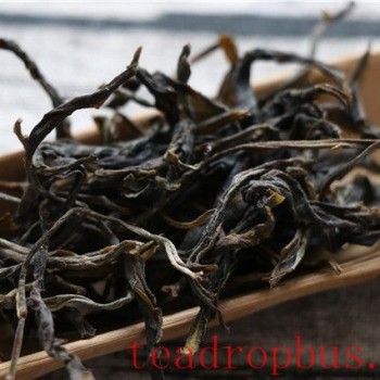 What are the steps to identify spring tea?