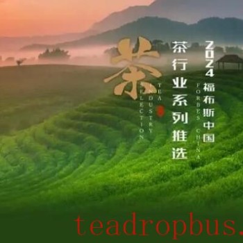 Zhejiang Tea Enterprises and Brands Make the Forbes List—See Who Made the Cut