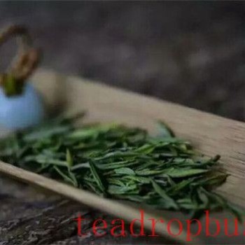 China-s Tea and Its Culture Part II: "Chinese Green Tea: A Thousand-Year Legacy and Future Prospects"