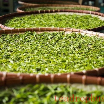 Bijie-s "Teas"! Have You Tried Them?