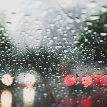 Prolonged Rainfall, Be Cautious with Your Liubao Tea Storage!