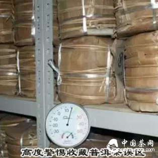 High Alert for Misconceptions in Collecting Pu-erh Tea