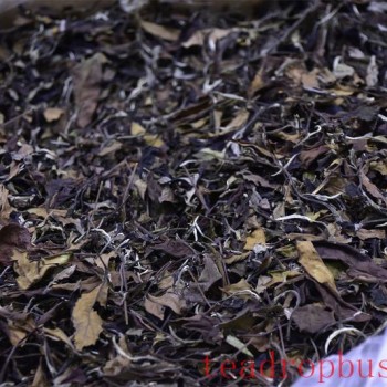 White Tea: Loose Leaf vs. Compressed—A Journey of Flavor and Choice