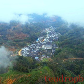 A Tea Village Known as "Little Wuyi," Birthplace of the World-Renowned Tanyang Gongfu Black Tea! Ancient Mansions Abound