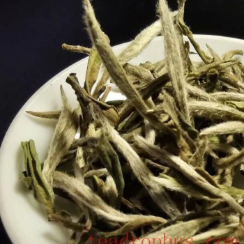 Falling in Love with White Tea Starts with Its Aroma