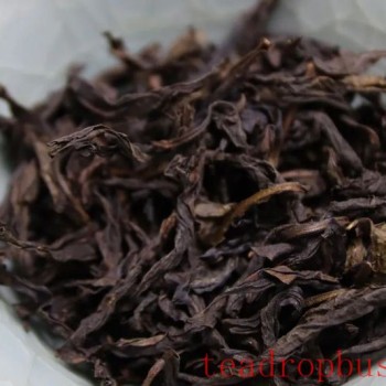 Can Yancha Be Stored Long-Term? Here’s the Answer!