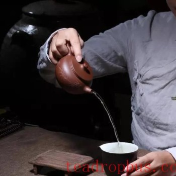 What Do Purple Clay Teapots Fear the Most?