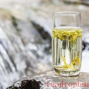A Common Tea Brewing Method for Daily Life — The Cup Brewing Method