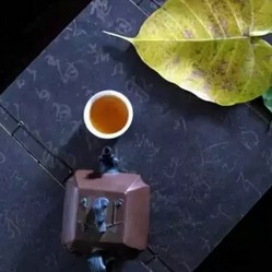 Tea Should Not Be Drunk Randomly; Drinking Tea Should Also Be Age-Appropriate