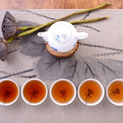 Medicinal Components of Tea Aligning with Human Organs: Alkaloids