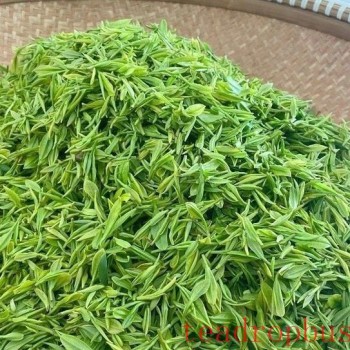 The Fragrance of Tea in My Hometown