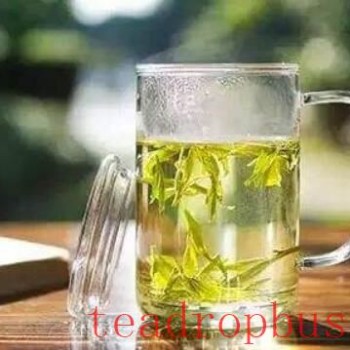 How to Brew the Perfect Green Tea: The Art of Time Control