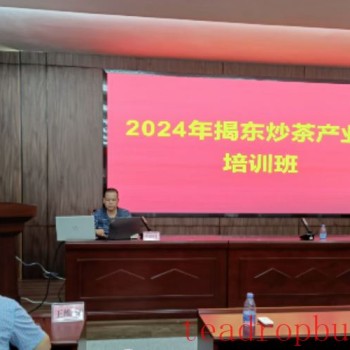 Guangdong Tea Institute Hosts Jiedong Stir-Fried Tea Industry Chain Training Session