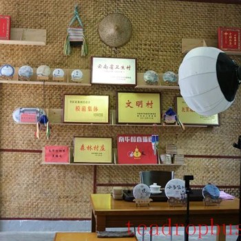 Live Streaming + Training, Nanhua Village-s Tea Industry Embraces New Vitality