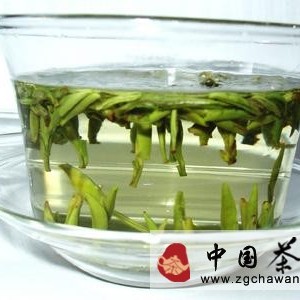 How to Choose the Tea That Suits You?