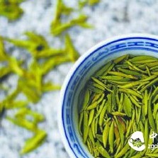 Tea Science Tips