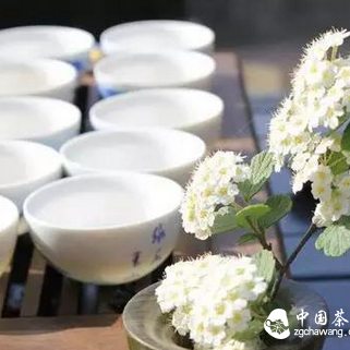 Learned Something New: When to Drink What Kind of Tea