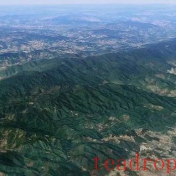 Wandering Through Jingdong-s Time-Honored Ancient Tea Mountains: The Wuliang Mountains