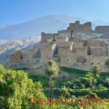 Saudi Arabia Builds Largest Coffee Farm in the Middle East