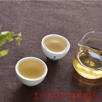 What are the functions of tea polyphenols?
