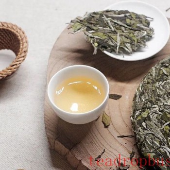Exploring the Reasons for Coughing and Throat Discomfort After Drinking White Tea: Drink Scientifically for Good Health