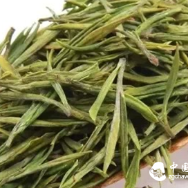 The Efficacy and Effects of Anji White Tea