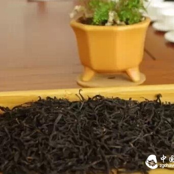In-Depth Look at Black Tea: Lapsang Souchong