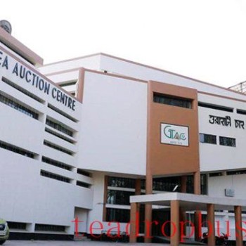 Assam Proposes New AI and Blockchain Based Tea Auction System