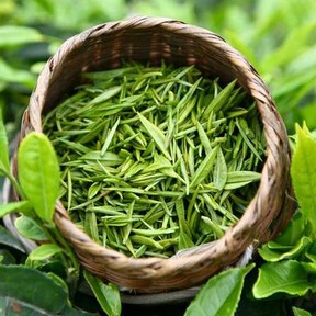 The Particularities of Drinking Green Tea